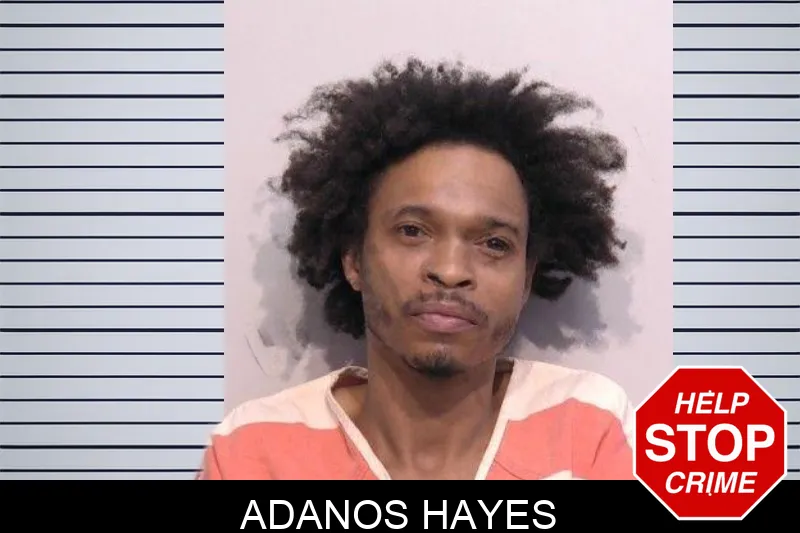 Adanos Hayes mugshot – Bartow County , Georgia Adanos Hayes mugshot