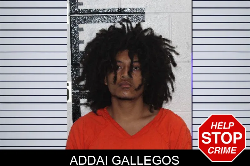 Addai Gallegos mugshot – Murray County , Georgia Addai Gallegos mugshot