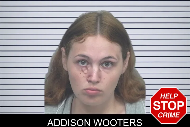 Addison Wooters mugshot – Gwinnett County , Georgia Addison Wooters mugshot