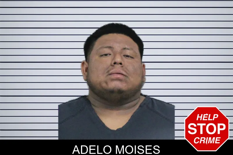Adelo Moises mugshot