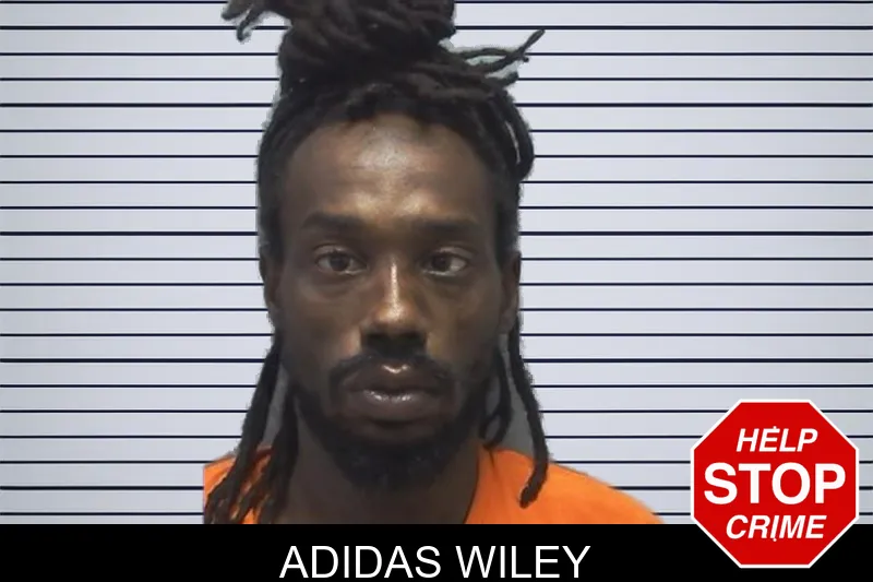 Adidas Wiley mugshot