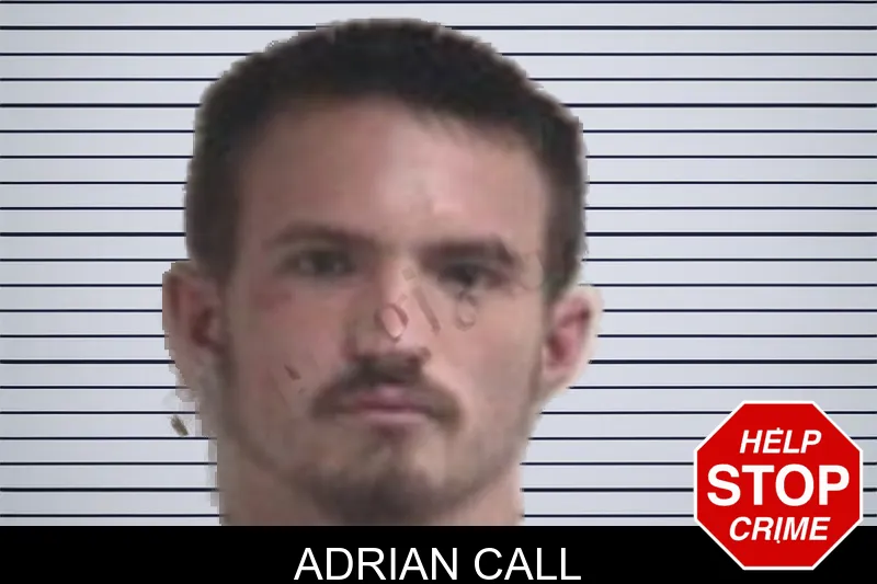 Adrian Call mugshot – Henry County , Georgia Adrian Call mugshot