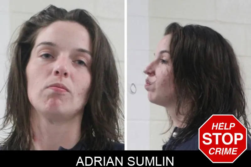 Adrian Sumlin mugshot – Houston County , Georgia Adrian Sumlin mugshot
