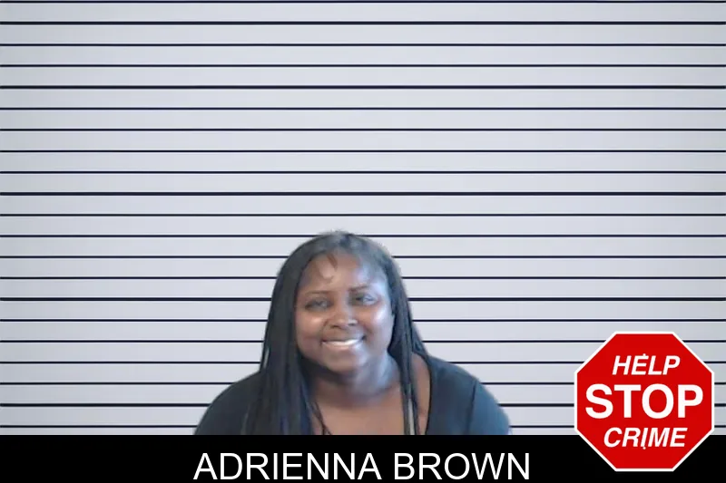 Adrienna Brown mugshot – DeKalb County , Georgia Adrienna Brown mugshot