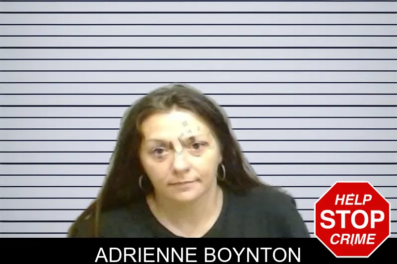Adrienne Boynton mugshot – Fulton County , Georgia Adrienne Boynton mugshot