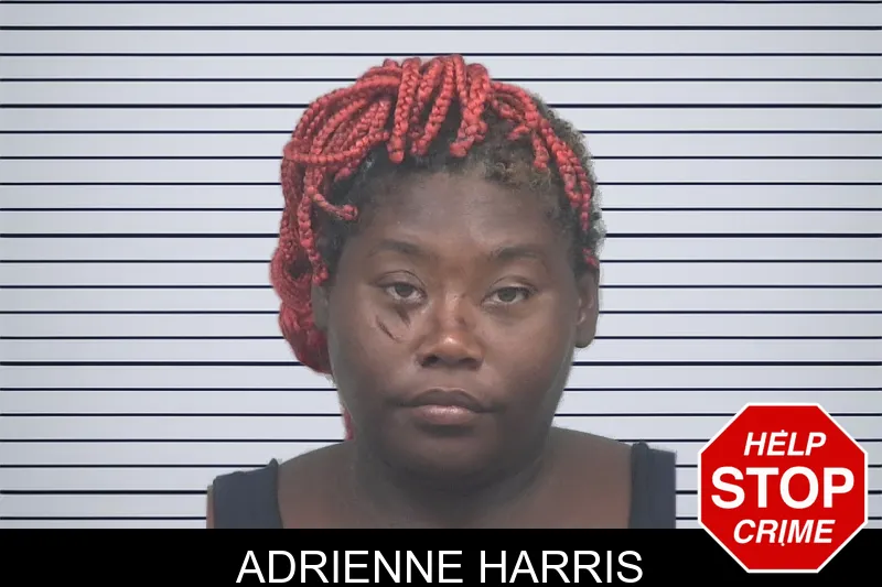 Adrienne Harris mugshot – Gwinnett County , Georgia Adrienne Harris mugshot