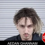 Aedan Ghannam mugshot – Lowndes County , Georgia Aedan Ghannam mugshot