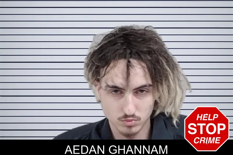Aedan Ghannam mugshot – Lowndes County , Georgia Aedan Ghannam mugshot