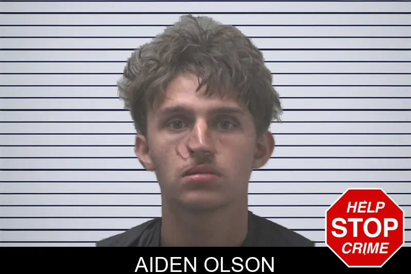 Aiden Olson mugshot