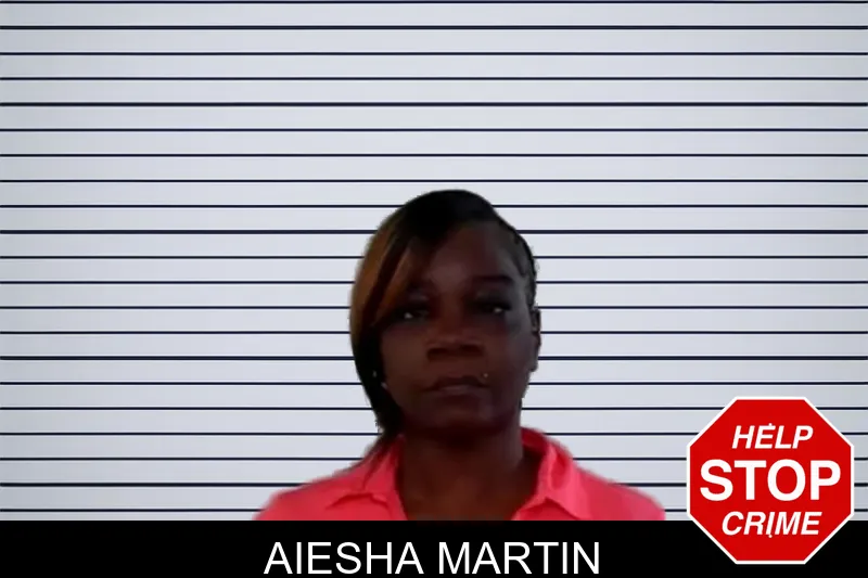 Aiesha Martin mugshot – Liberty County , Georgia Aiesha Martin mugshot
