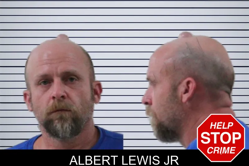 Albert Lewis Jr mugshot – Houston County , Georgia Albert Lewis Jr mugshot