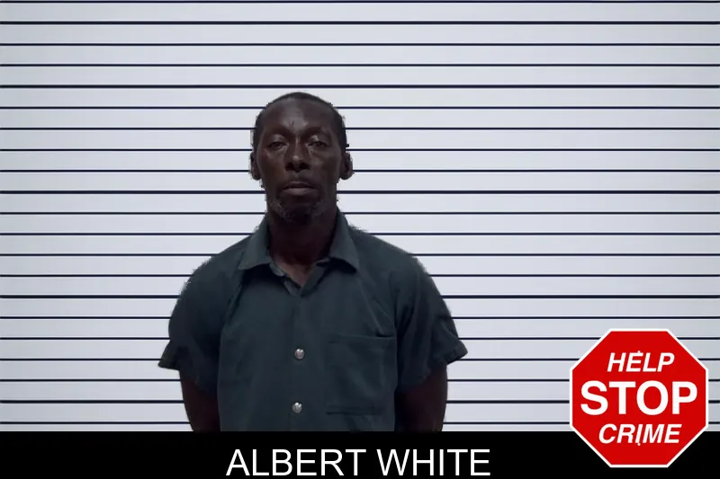 Albert White mugshot – Irwin County , Georgia Albert White mugshot
