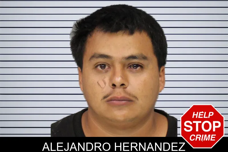 Alejandro Hernandez mugshot – Cobb County , Georgia Alejandro Hernandez mugshot