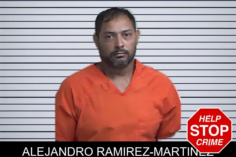 Alejandro Ramirez-Martinez mugshot – Fannin County , Georgia Alejandro Ramirez-Martinez mugshot