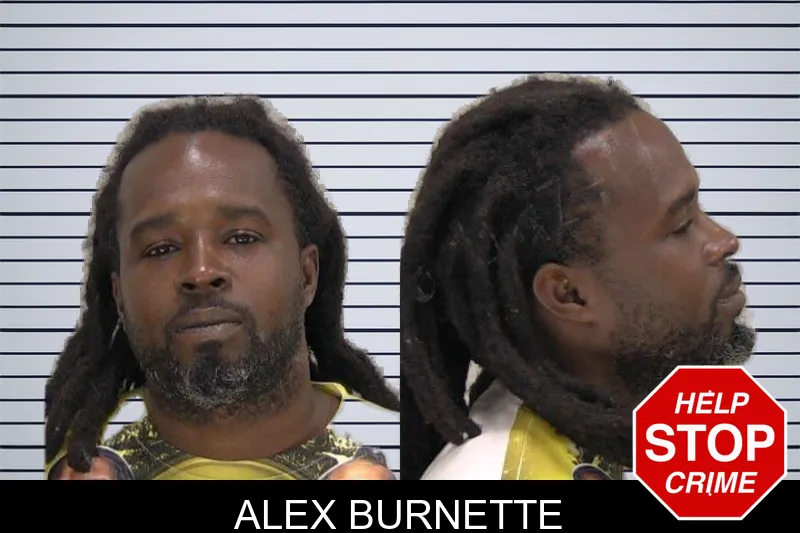Alex Burnette mugshot