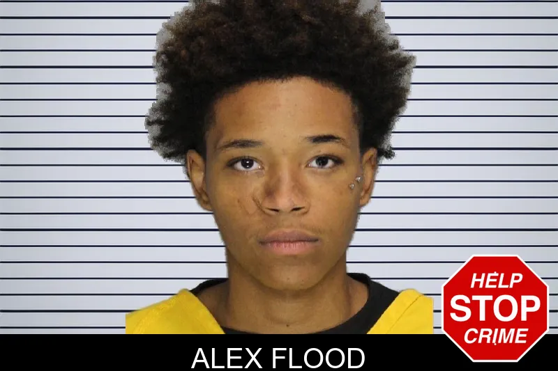 Alex Flood mugshot – Cobb County , Georgia Alex Flood mugshot