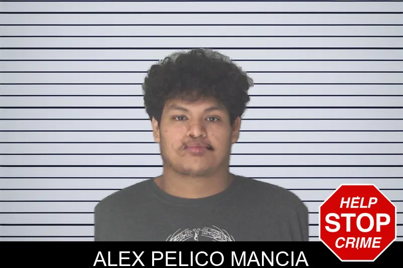 Alex Pelico Mancia mugshot
