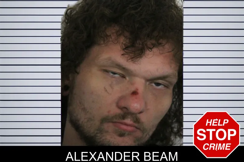 Alexander Beam mugshot – Floyd County , Georgia Alexander Beam mugshot