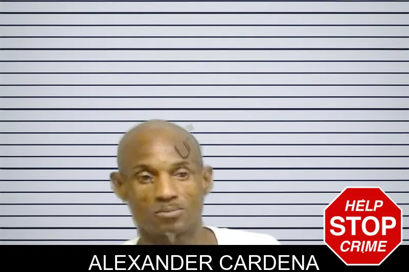 Alexander Cardena mugshot