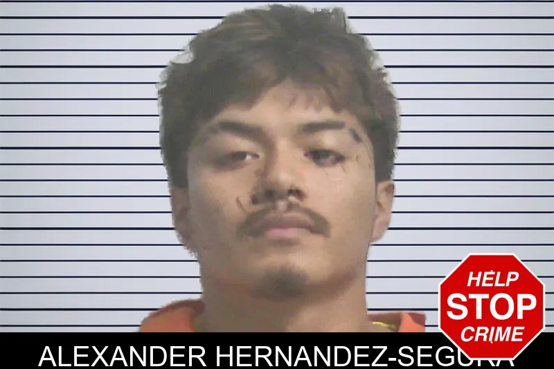 Alexander Hernandez-Segura mugshot – Colquitt County , Georgia Alexander Hernandez-Segura mugshot