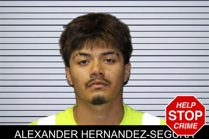 Alexander Hernandez-Segura mugshot