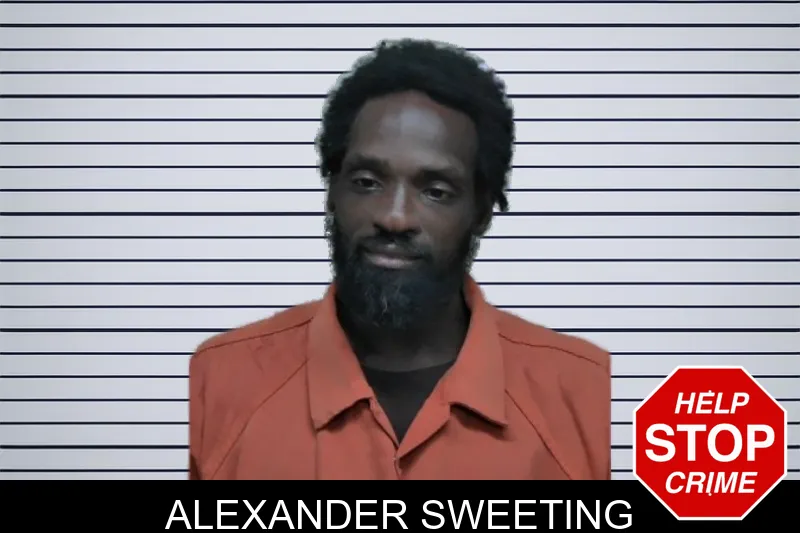 Alexander Sweeting mugshot – Ben Hill County , Georgia Alexander Sweeting mugshot