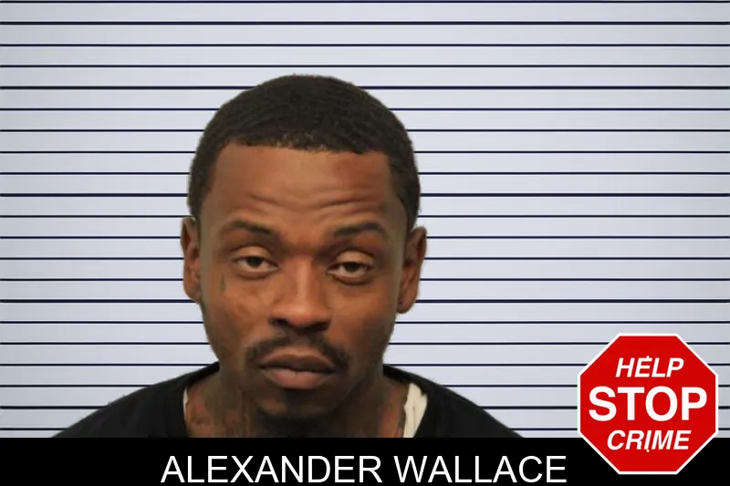Alexander Wallace mugshot – Chatham County , Georgia Alexander Wallace mugshot