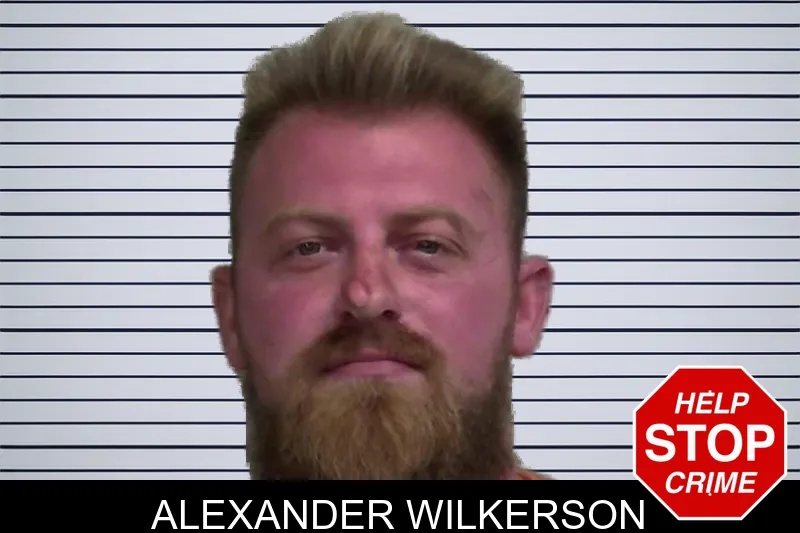 Alexander Wilkerson mugshot – Wayne County , Georgia Alexander Wilkerson mugshot