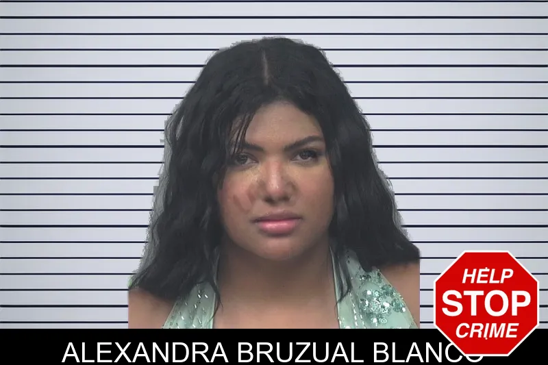 Alexandra Bruzual Blanco mugshot – Gwinnett County , Georgia Alexandra Bruzual Blanco mugshot