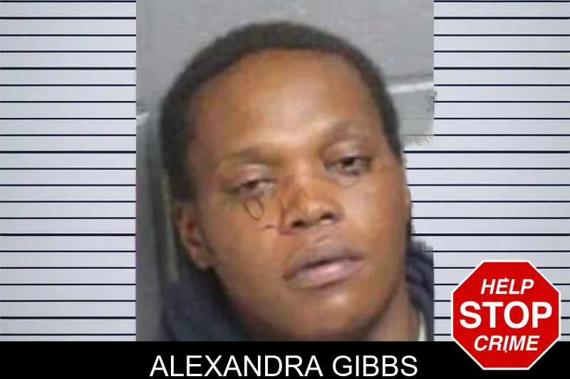 Alexandra Gibbs mugshot