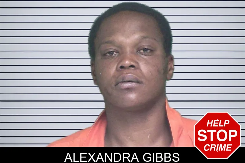Alexandra Gibbs mugshot