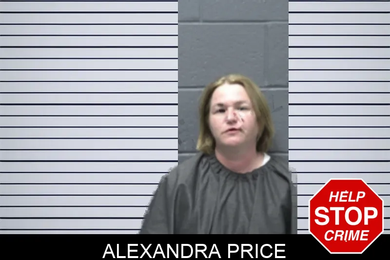 Alexandra Price mugshot – Forsyth County , Georgia Alexandra Price mugshot