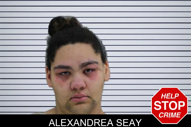 Alexandrea Seay mugshot – Rabun County , Georgia Alexandrea Seay mugshot