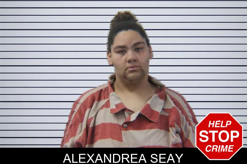 Alexandrea Seay mugshot – Stephens County , Georgia Alexandrea Seay mugshot