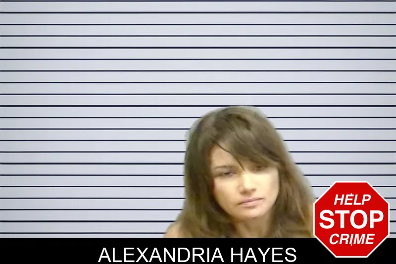 Alexandria Hayes mugshot – Fulton County , Georgia Alexandria Hayes mugshot