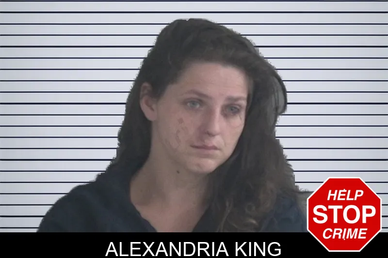 Alexandria King mugshot – Brantley County , Georgia Alexandria King mugshot