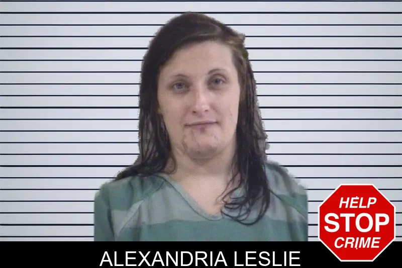 Alexandria Leslie mugshot – Whitfield County , Georgia Alexandria Leslie mugshot