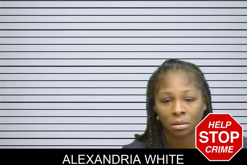 Alexandria White mugshot – Fulton County , Georgia Alexandria White mugshot