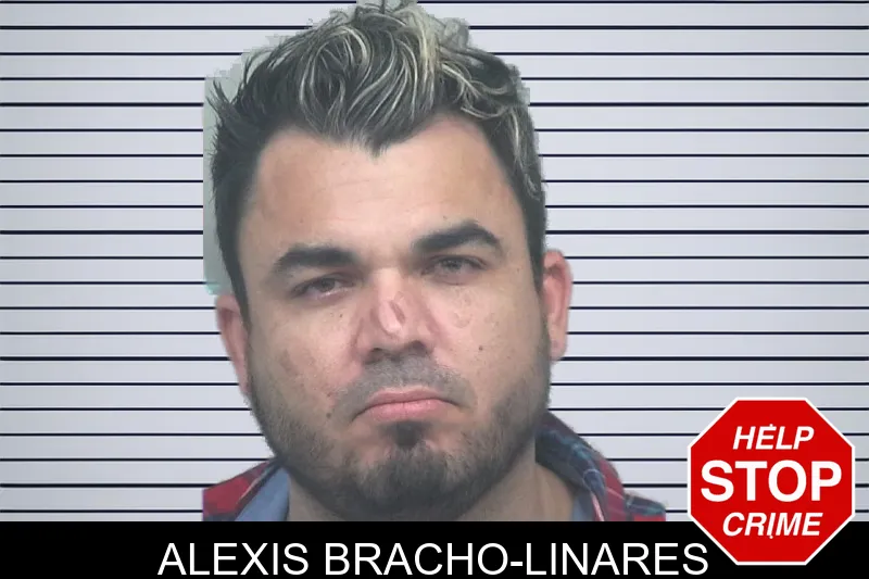 Alexis Bracho-Linares mugshot – Gwinnett County , Georgia Alexis Bracho-Linares mugshot