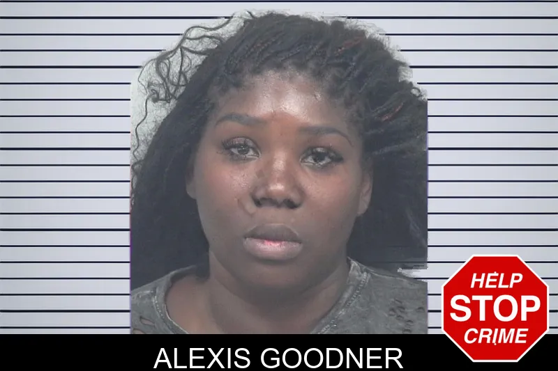 Alexis Goodner mugshot – Gwinnett County , Georgia Alexis Goodner mugshot