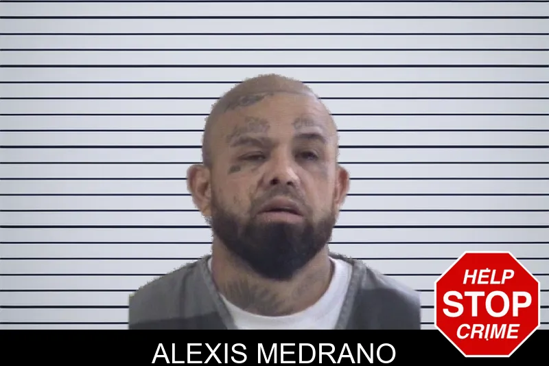 Alexis Medrano mugshot