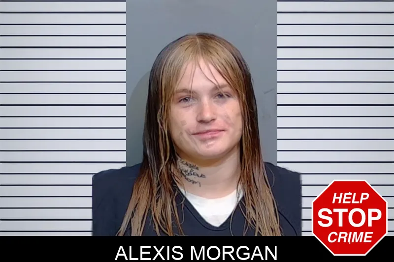 Alexis Morgan mugshot – Glynn County , Georgia Alexis Morgan mugshot