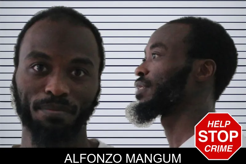 Alfonzo Mangum mugshot – Houston County , Georgia Alfonzo Mangum mugshot