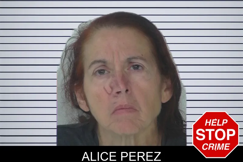 Alice Perez mugshot – Fayette County , Georgia Alice Perez mugshot