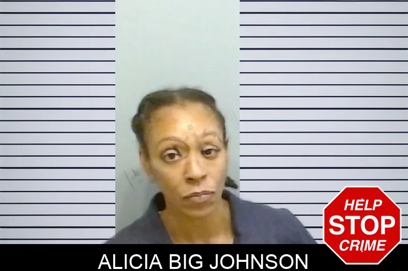 Alicia Big Johnson mugshot – Fulton County , Georgia Alicia Big Johnson mugshot