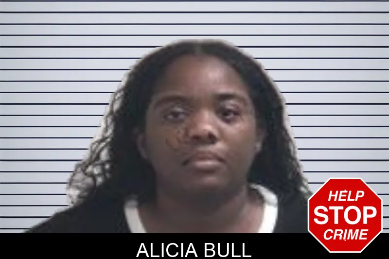 Alicia Bull mugshot – Henry County , Georgia Alicia Bull mugshot