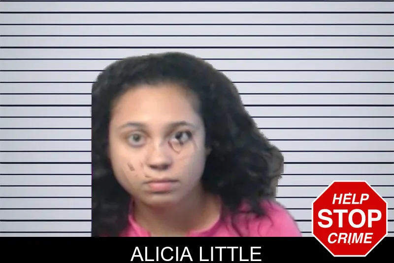 Alicia Little mugshot