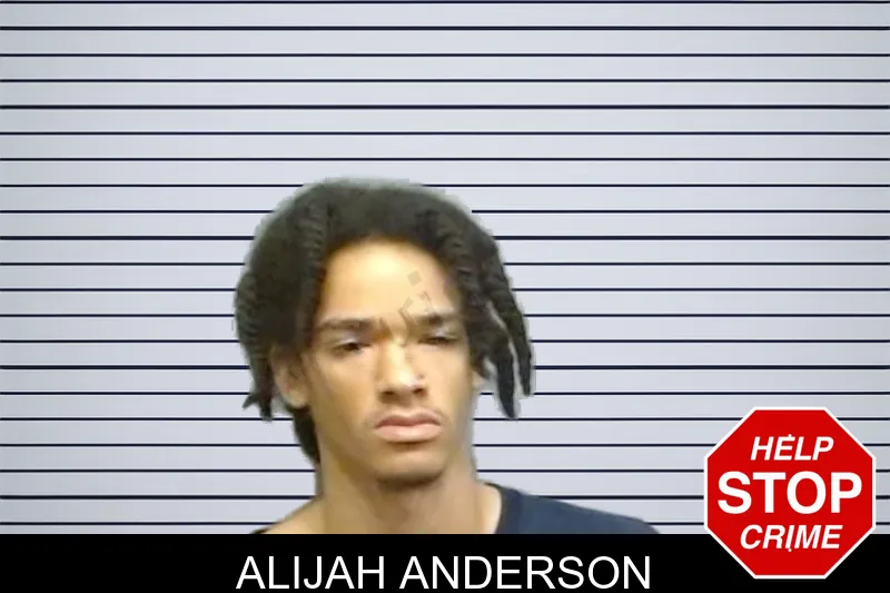 Alijah Anderson mugshot
