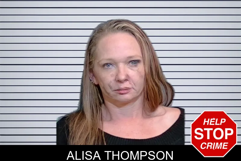 Alisa Thompson mugshot – Glynn County , Georgia Alisa Thompson mugshot