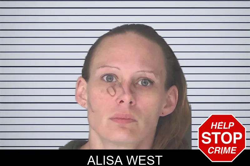 Alisa West mugshot – Douglas County , Georgia Alisa West mugshot